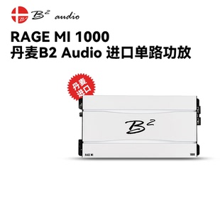 丹麦B2 1000单路400W功放功率放大器汽车音响 AUDIO进口RAGE