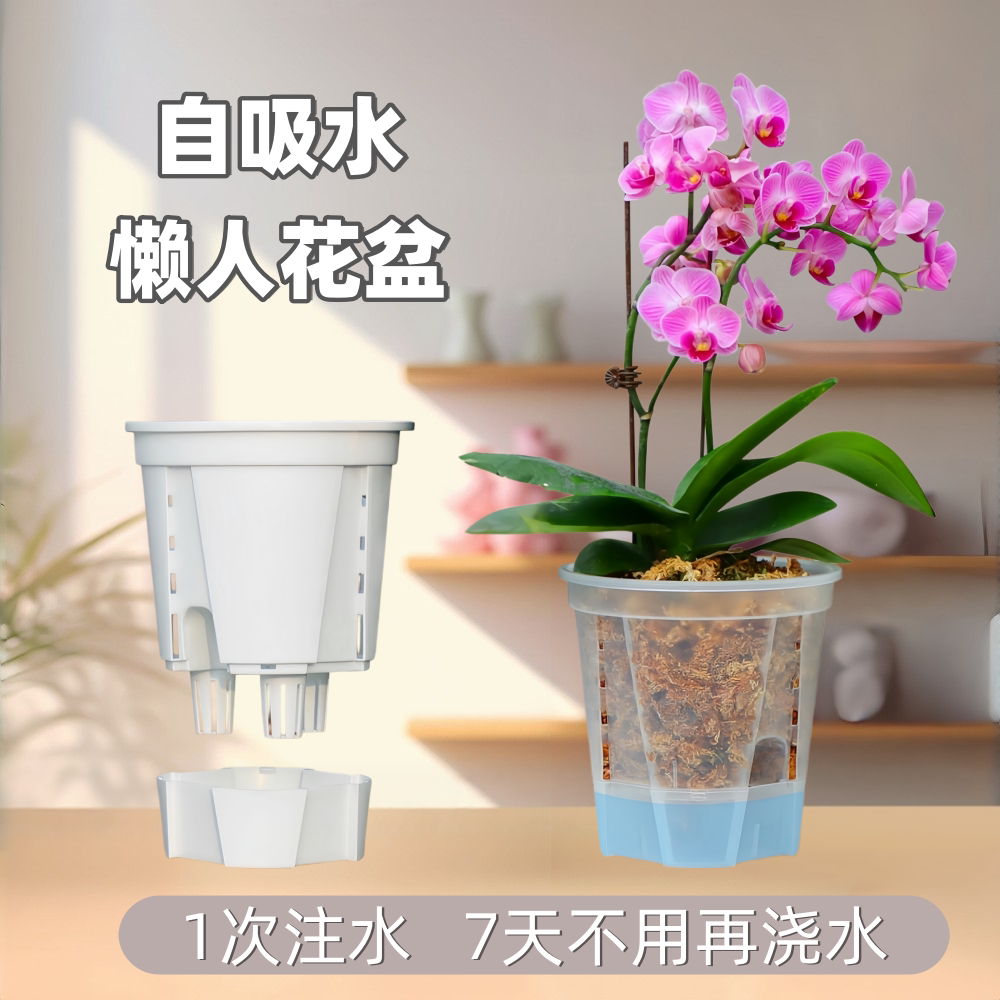懒人自吸水花盆双层储水盆图片