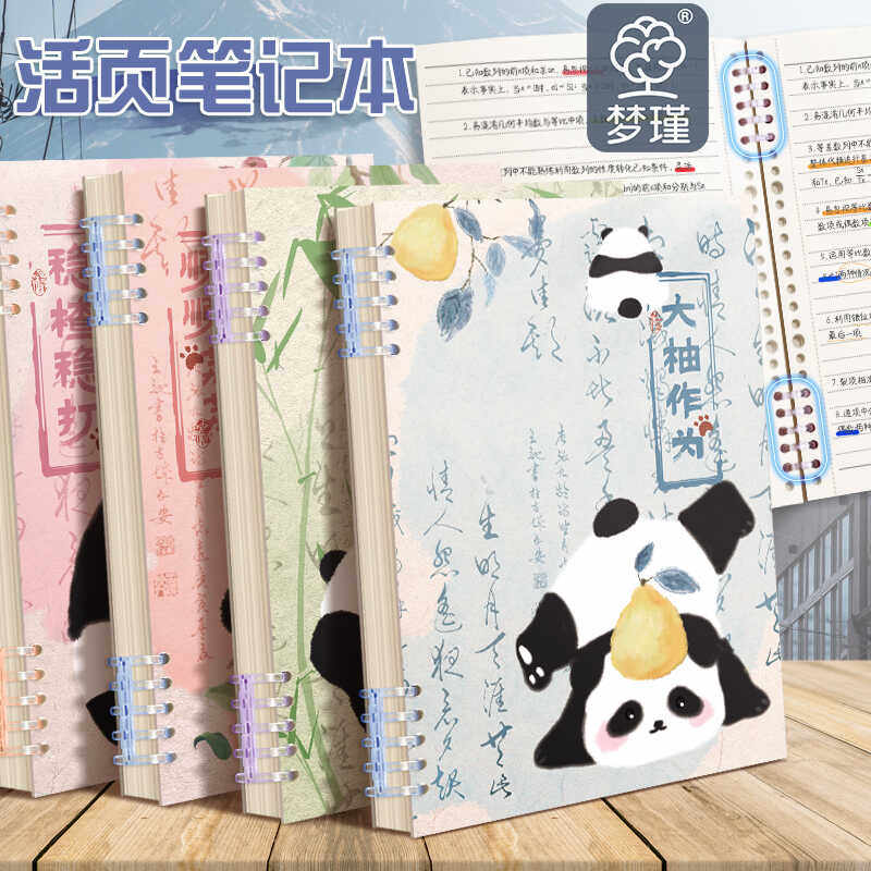 可拆卸活页加厚高颜值b5笔记本子