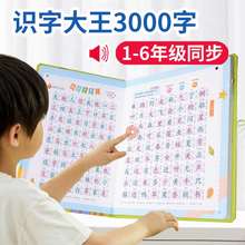 会说话 识字大王3000汉字有声点读学习机笔幼儿童早教认字发声书