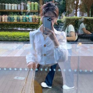 2025秋款法式气质名媛小众泡泡长袖纯色衬衫女减龄漂亮短款上衣