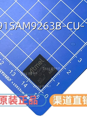 AT91SAM9263B-CU-100封装BGA 全新库存 可直拍