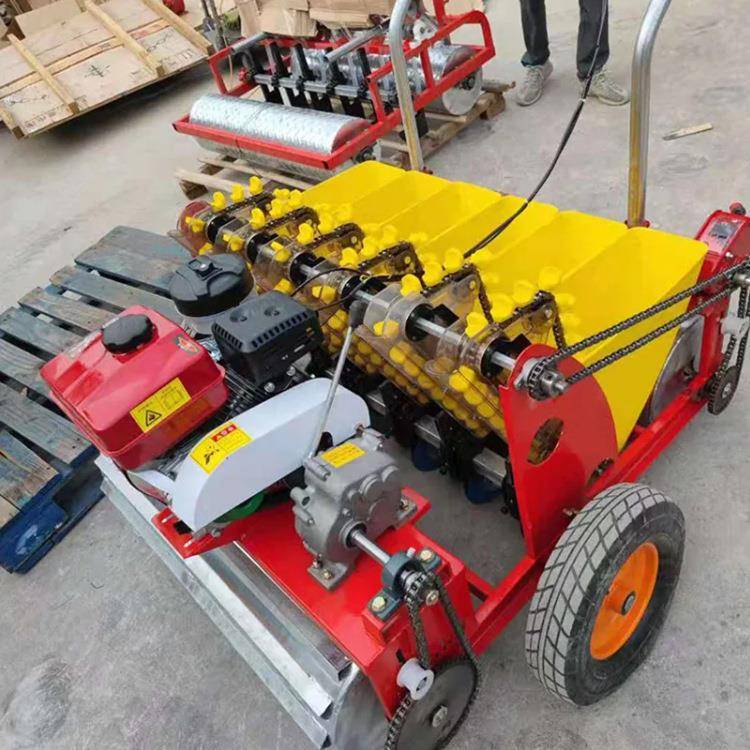 小型家用种蒜机 多功能播蒜机 汽油电动手推式单行多行种蒜机