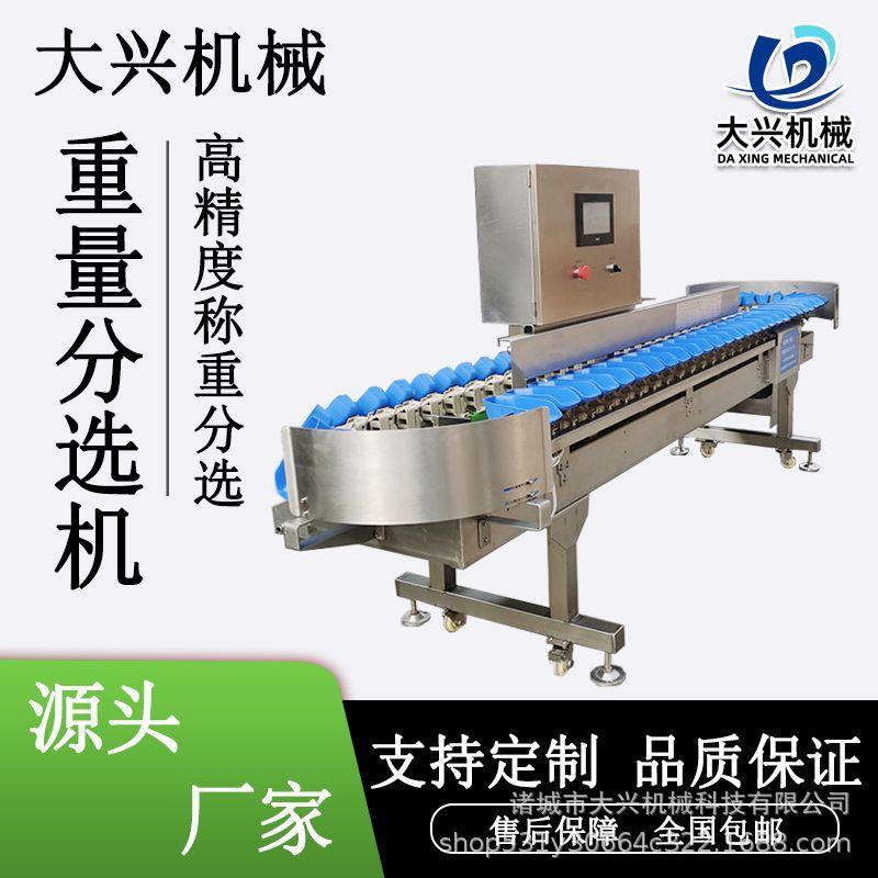多宝鱼称重分拣机海蛎子海参自动分选机鱿鱼鲍鱼大小重量分级机