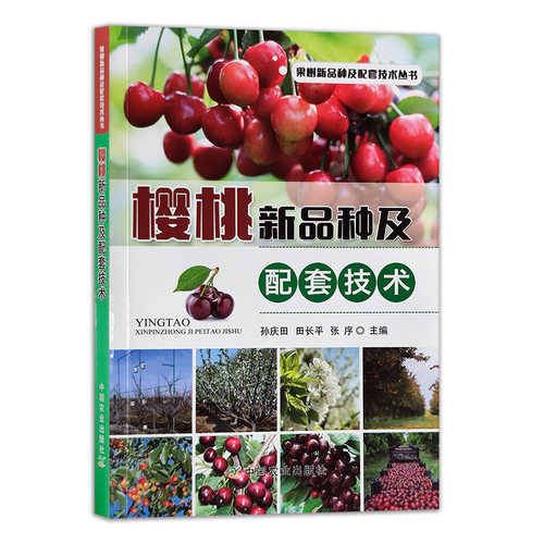 畅销书籍  官方直营