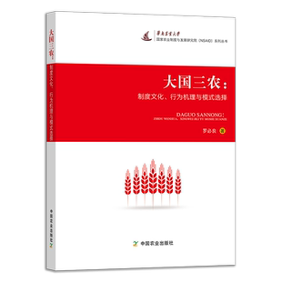 现货 【官方正版】大国三农:制度文化、行为机理与模式选择 322295 罗必良