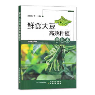 鲜食大豆高效种植新技术 许林英 等 栽培技术 黄豆 种植管理 田间管理 毛豆 30348