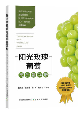 阳光玫瑰葡萄高质量栽培 30902-9  晁无疾 陈占伟 单涛 杨军平 图文并茂  花果管理  病虫害防治 农业科学