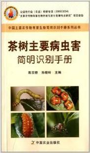 孙晓玲 社官方正版 陈宗懋 茶树主要病虫害简明识别手册 中国农业出版