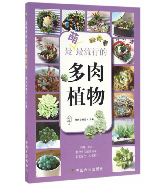 【中国农业出版社官方正版】最萌最流行的多肉植物 初舍/李利霞主编  种植/观赏园艺类   园艺·家图片