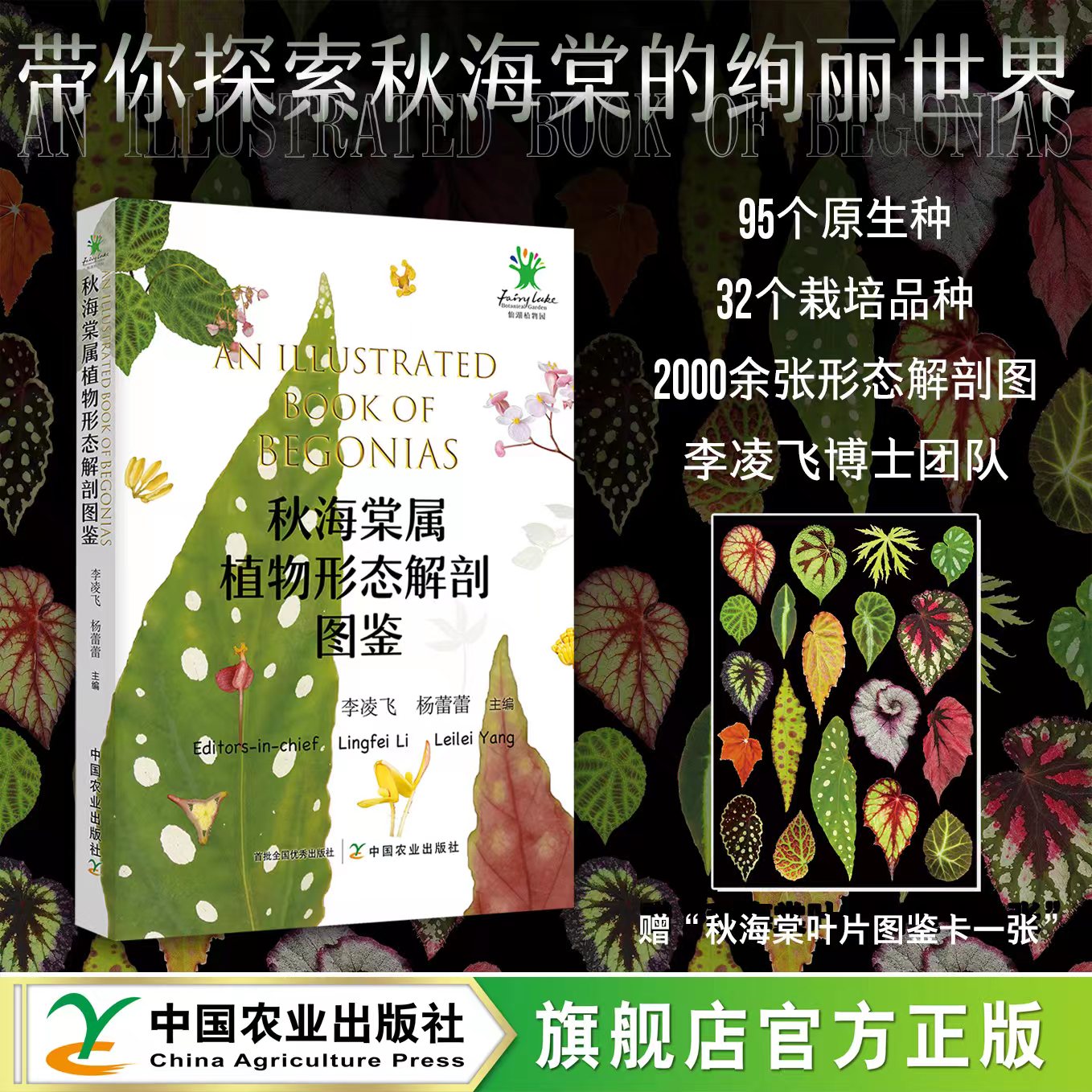 秋海棠属植物形态解剖图鉴 【赠“秋海棠叶片图鉴卡一张”】 316171  展示了全球95种秋海棠属原生种类及32个栽培品种