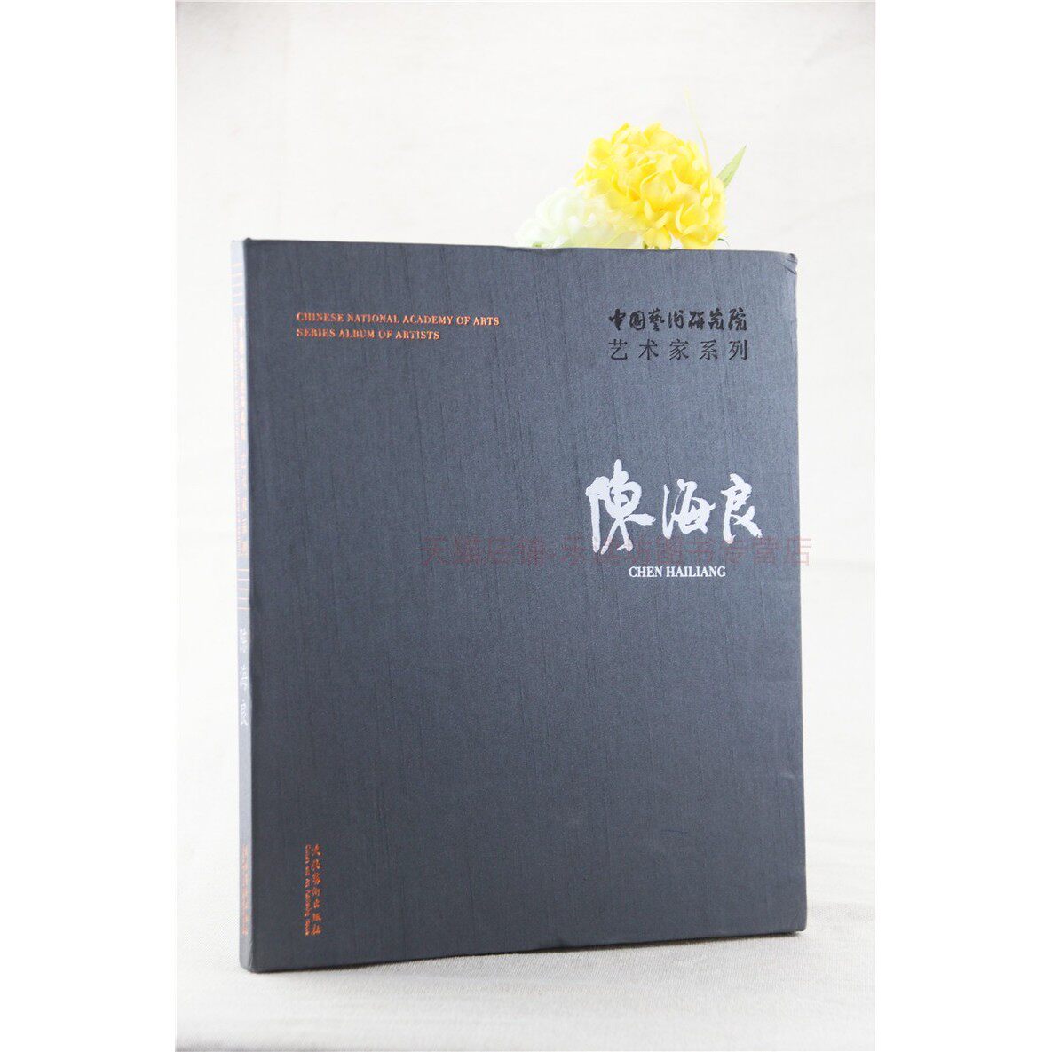 中国艺术研究院艺术家系列 陈海良陈海良连辑 文化艺术出版社 新