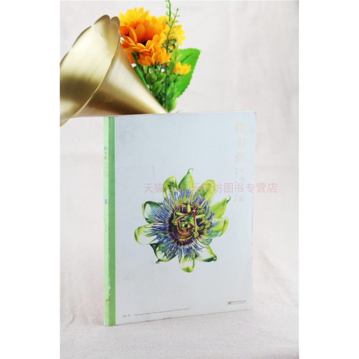 绘自然:迷情花园 钱茜 工艺美术 彩铅手绘知识 自然花卉彩铅技法