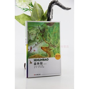 插图本 森林报 维·比安基 曾和 儿 童年书系·书架上 何欣 经典