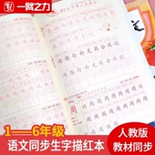 小学生练字帖上册下册钢笔儿童人教版 同步书法本硬笔课本语文每日一练贴初学者描红练习写字一年级二年级三年级四年级五年级六年级