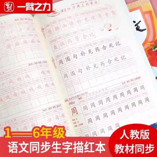 小学生练字帖上册下册钢笔儿童人教版同步书法本硬笔课本语文每日一练贴初学者描红练习写字一年级二年级三年级四年级五年级六年级