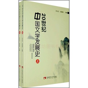 20世纪中国文学发展史上下册 苏光文 胡国强 文学写作 西南师范大