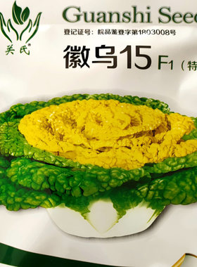 黄心乌菜秋季耐寒正宗淮南种籽