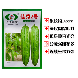 力禾大肉苦瓜种子佳秀2号 光滑亮丽顺直分枝能力强雌花多苦瓜种籽