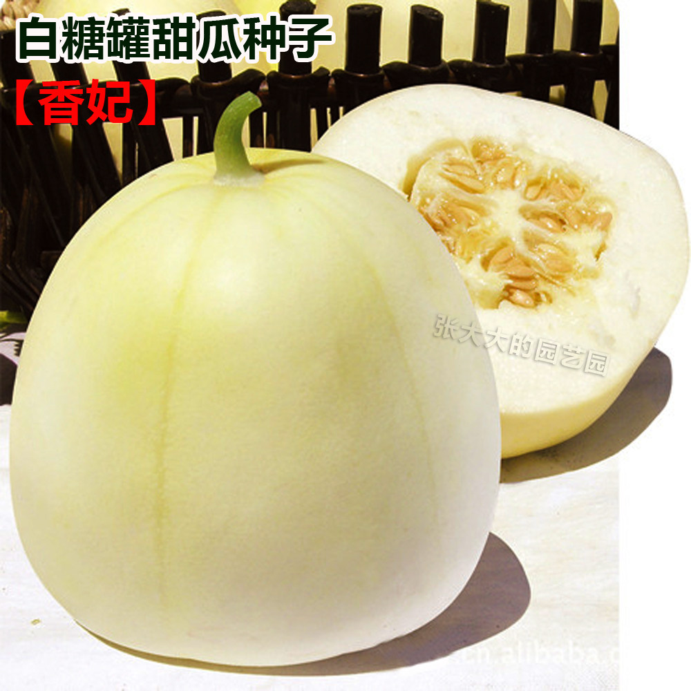白糖罐甜瓜香妃种子白皮白瓤皮薄白甜瓜种籽香瓜蜜瓜高产蔬果种孑图片