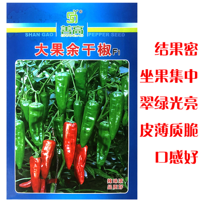 大果余干椒辣椒种子薄皮小辣椒春秋季特辣香辣正宗老品种辣椒种籽