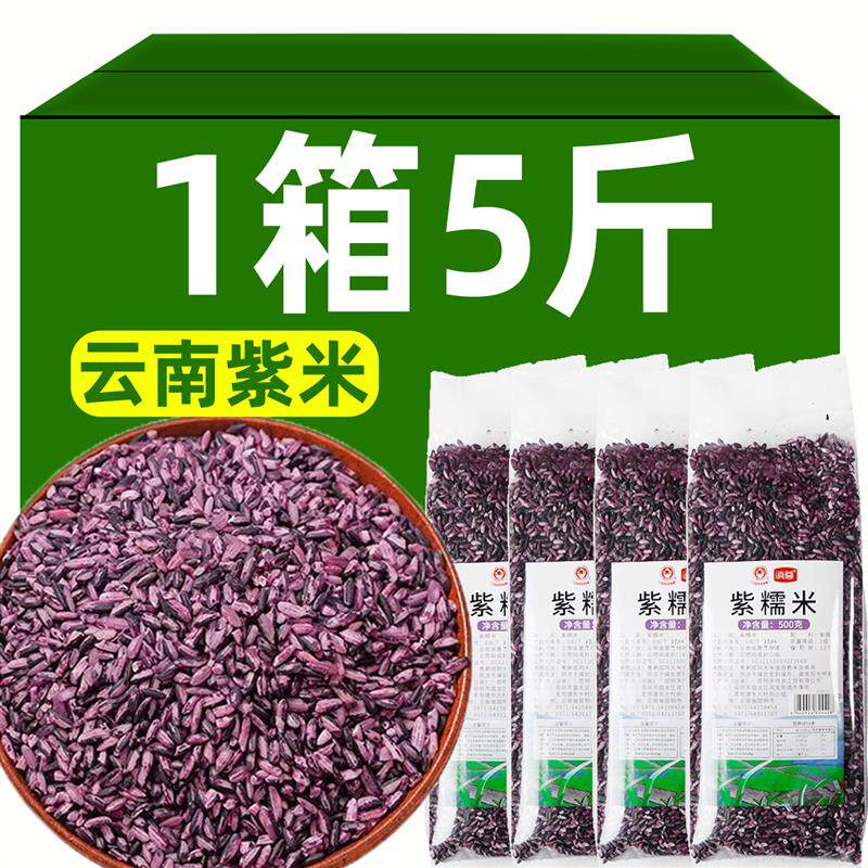 新货正宗云南特产墨江紫米老品种农家自产黑米血糯米煮粥饭店