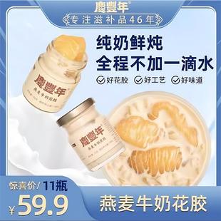 庆丰年燕麦牛奶花胶75g*11瓶鲜炖即食小圆瓶奶香低脂即食花胶