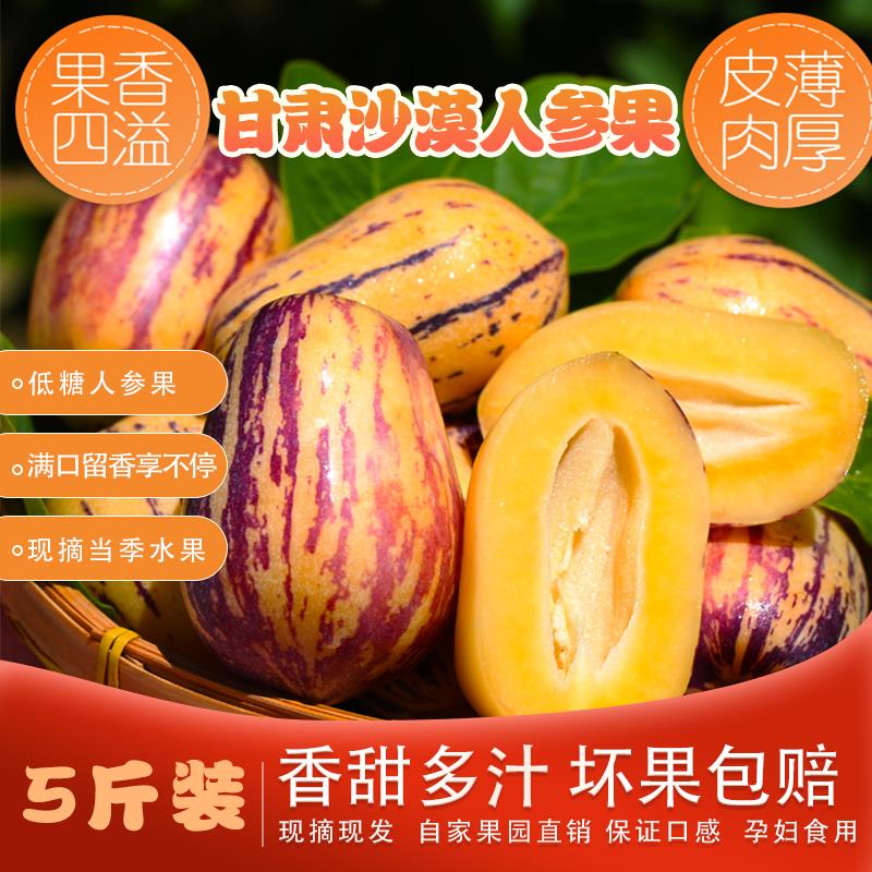 甘肃人参果大果甘肃民勤人参果5斤人生果 水果包邮沙漠新鲜人参果