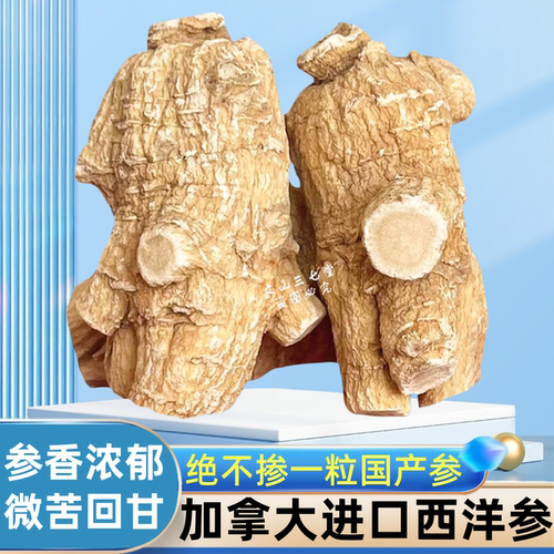 加拿大进口西洋参整根代切片磨粉