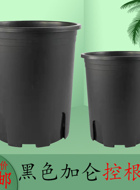 黑色二代加仑盆塑料控根花盆栽种植育苗阳台家用种花大花卉绿植盆