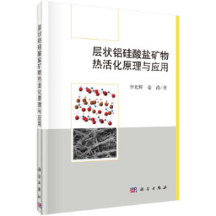 正版书籍层状铝硅酸盐矿物热活化原理与应用李光辉,姜涛工业技术 矿业工程科学出版社