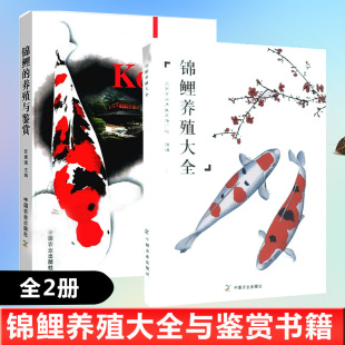 养殖与鉴赏锦鲤养殖大全锦鲤饲养管理养鱼书籍观赏鱼养殖技术大全池塘养鱼疾病防常见治金鱼鲤鱼病诊断治疗防治技术书籍 2册锦鲤