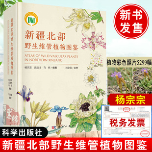 地区 天山以北 杨宗宗迟建才马明著记录了新疆北部 2021新书 野生维管植物自然科学生物科学出版 新疆北部野生维管植物图鉴 社