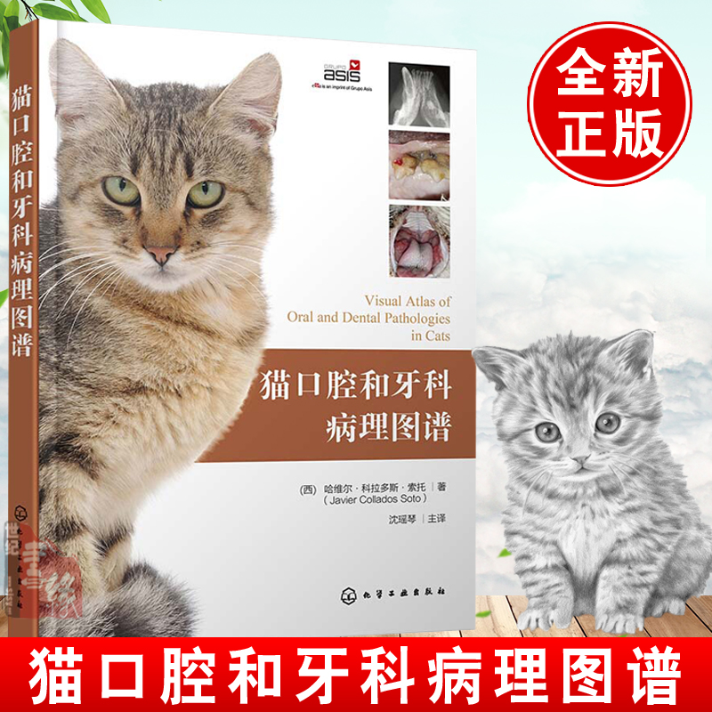 猫口腔和牙科病理图谱 猫牙科病理图谱治疗手册 犬猫组织学牙齿结构 犬猫齿系图谱 小动物牙周探查图例 宠物医生兽医入门参考书籍