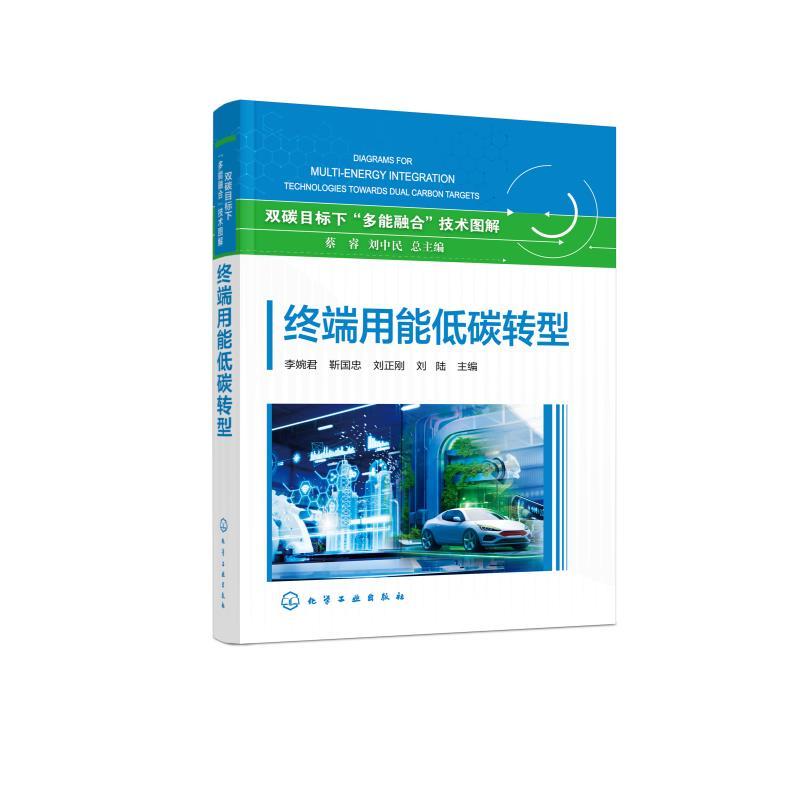 端用能低碳转型 李婉君靳国忠刘正刚刘陆 化学工业出版社9787122459220正版书籍