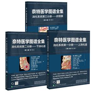 消化系统第二分册——下消化道 肝胆胰 第 消化系统 分册 版 奈特医学图谱全集 第三分册 ——上消化道 全3册