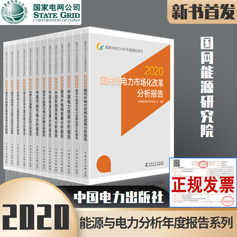 【全13册】能源与电力分析年度报告系列2020国网能源研究院外电力市场化改革能源与电力发展比较分析报告新能源中国电力出版社