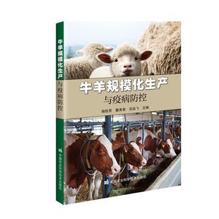 书籍 社9787511672674正版 牛羊规模化生产与疫病防控 杨胜男董秀菊吕延飞主编中国农业科学技术出版