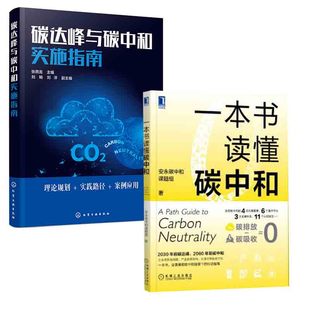 碳达峰与碳中和实施指南一本书读懂碳中和碳达峰碳中和100问零碳经济理论基础路径规划案例实践陈迎地方经济发展新兴 全2册