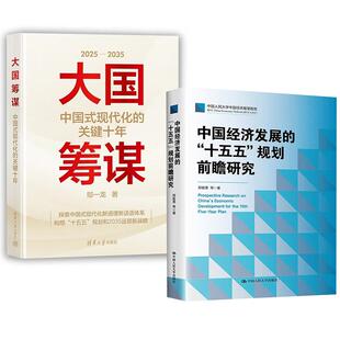 2册大国筹谋:中国式现代化的关键十年+中国经济发展的 “十五五”规划前瞻研究郑超愚中国式现代化十四五超愚编制及案例解读书籍