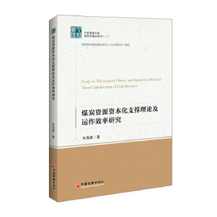 朱亮峰經濟管理 正版 書籍煤炭資源資本化支撐理論及運作效率研究 中經管理文庫.管理學精品系列二 世界經濟 世界及各國經濟概況