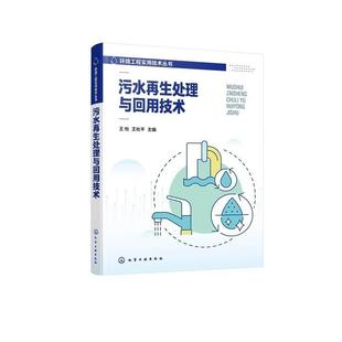 污水再生处理与回用技术 王怡、王社平 化学工业出版社9787122480866正版书籍