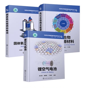 书籍 钒化合物纳米能源材料 先进电化学能源存储与转化技术丛书 潘安强 正版 锂空气电池固体氧化物燃料电池梁叔全 周江 全3册