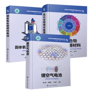 全3册 潘安强 书籍 钒化合物纳米能源材料 锂空气电池固体氧化物燃料电池梁叔全 正版 先进电化学能源存储与转化技术丛书 周江