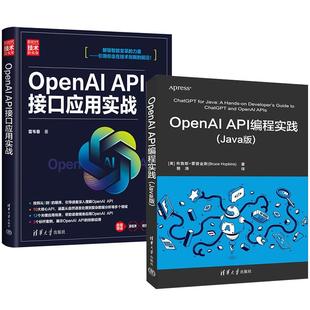 全2册 API接口应用实战 OpenAI Java版 新时代·技术新未来 API编程实践