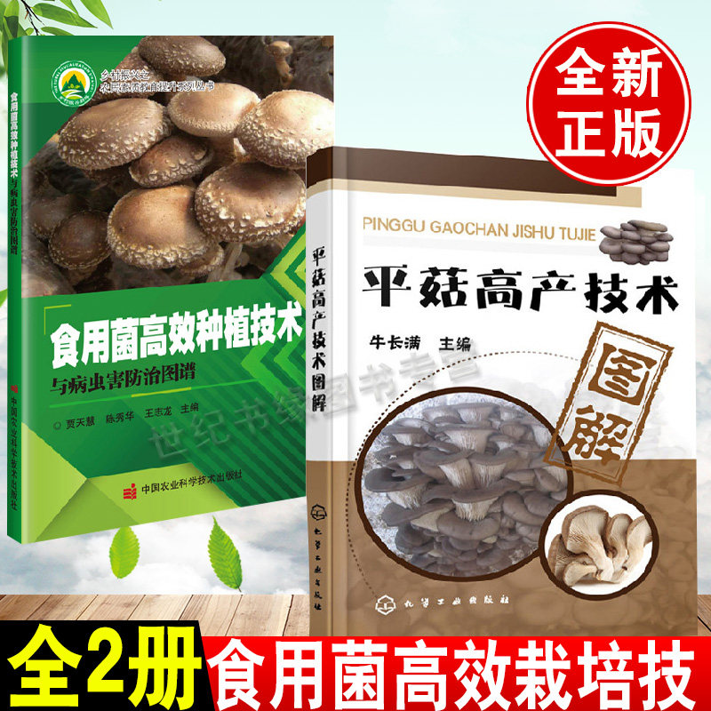 平菇种植技术【全2册】平菇高产技术图解+食用菌高效种植技术与病虫害防治图谱平菇实用栽培技术平菇高效栽培技食用菌菌种生产技术怎么样,好用不?