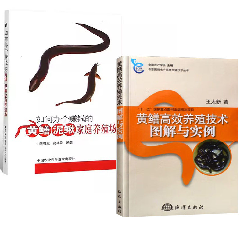 2册黄鳝高效养殖技术图解与实例+如何办个赚钱的黄鳝泥鳅家庭养殖场 鳝鱼水产高效养殖书 科学饲养黄鳝书籍 鳝鱼繁殖防治病技术