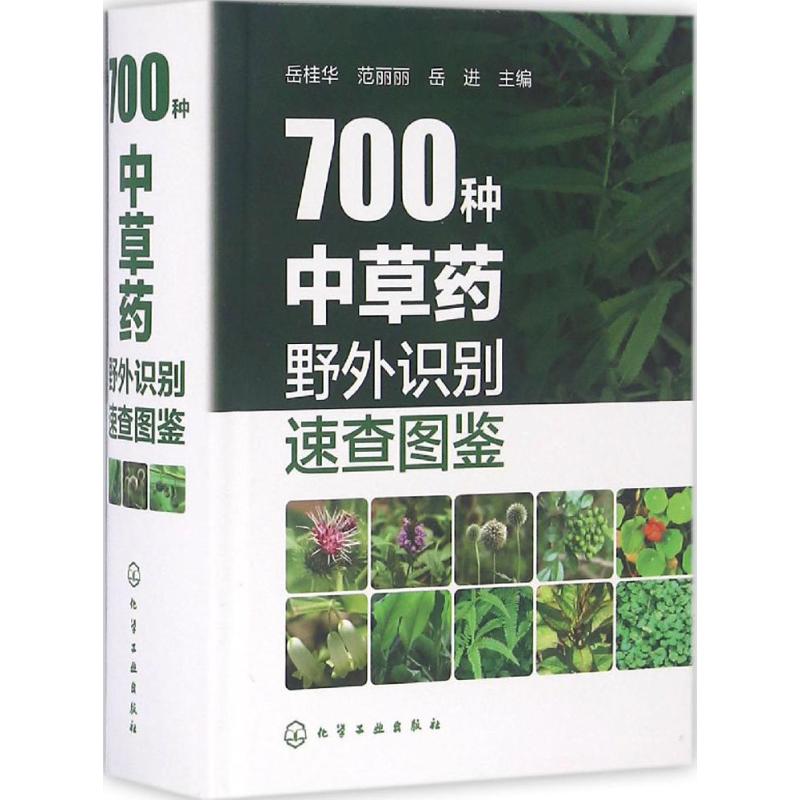 【药草识别与应用图典图谱大典】700种中草药野外识别速查图鉴 图解中草药大全 中药鉴别图册 中药草野外识别手册 常用中药手册