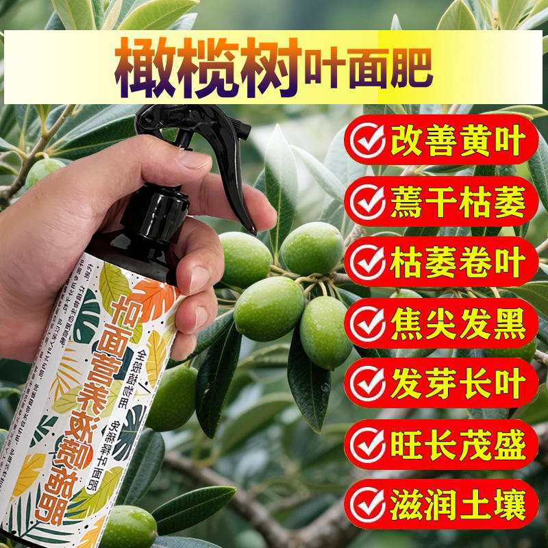 橄榄树专用肥料种植营养液小苗旺长开花结果促使发芽促长新叶面肥