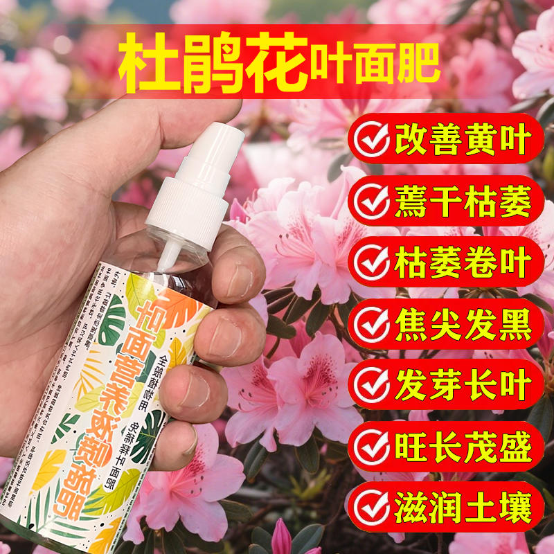 杜鹃花专用肥料盆景花卉植物营养液老桩盆栽花苗花树花肥土壤肥料